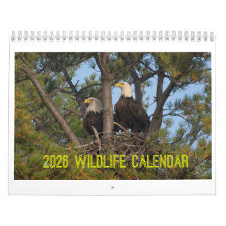 Calendário da Vida Selvagem de 2026 por Kevin Harr