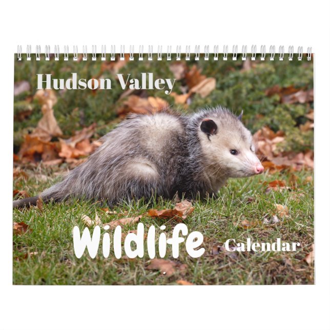 Calendário da Vida Selvagem do Vale do Hudson (Capa)