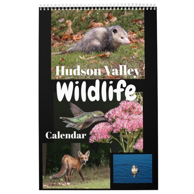 Calendário da Vida Selvagem do Vale do Hudson (Capa)