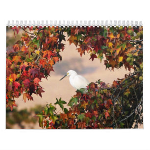 Calendário da Vida Selvagem e Aves