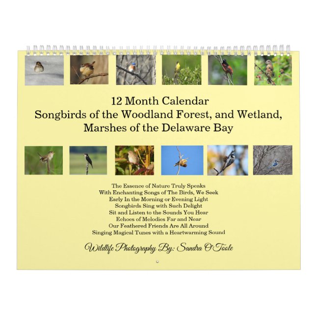 Calendário da Vida Selvagem, Pássaros Cantores, Av (Capa)