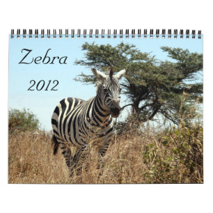 calendário da zebra 2012
