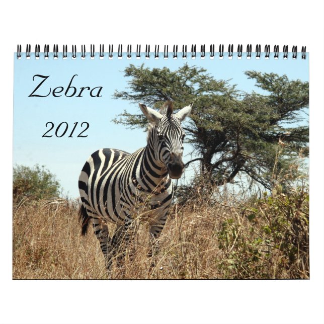 calendário da zebra 2012 (Capa)