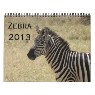 calendário da zebra 2013