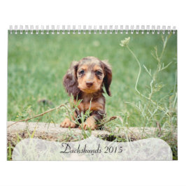 Calendário Dachshances 2015