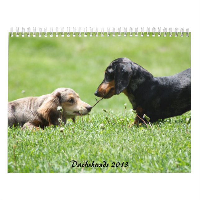 Calendário Dachshund 2013 (Capa)