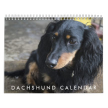 Calendário Dachshund 2016