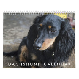 Calendário Dachshund 2026