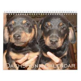 Calendário Dachshund 2026 Com Fotos