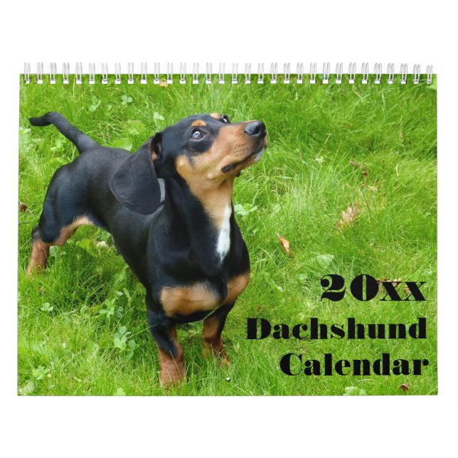 Calendário Dachshund 2026 Com Suas Fotos (Capa)
