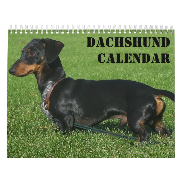 Calendário Dachshund Com Suas Fotos (Capa)