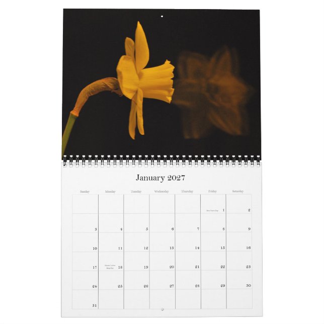 Calendário Daffodils (Jan 2027)