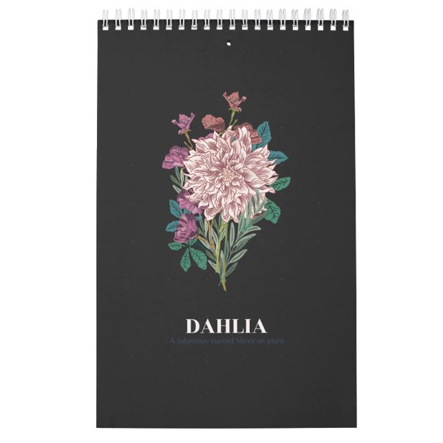 CALENDÁRIO DAHLIA (Capa)