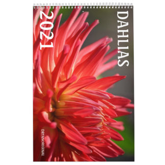 CALENDÁRIO DAHLIA 2021 - CALENDÁRIO DRYANORIGINAL