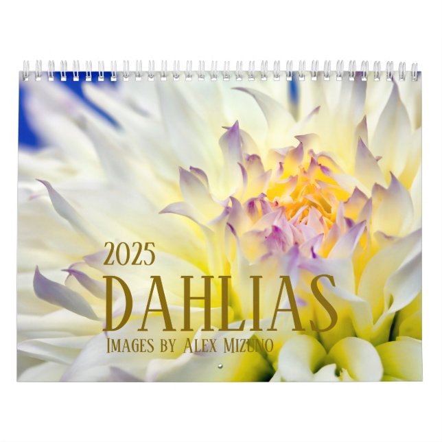 Calendário Dahlia 2025 (Capa)
