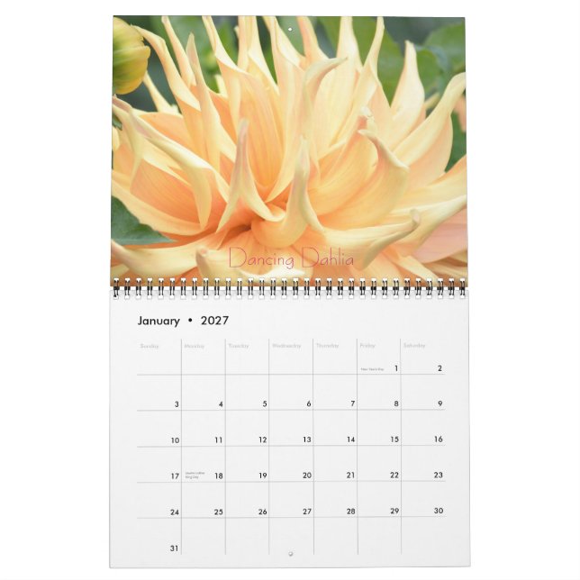 Calendário Dahlia Floral Fantasy 2014 Wall Calender (Jan 2027)