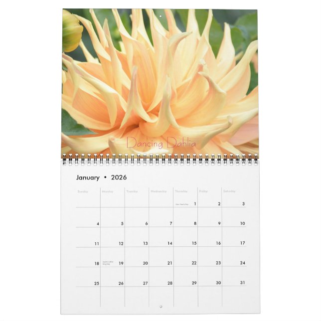 Calendário Dahlia Floral Fantasy 2014 Wall Calender (Jan 2026)