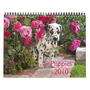 Calendário Dalmatian-Cobrir, Puppies2010