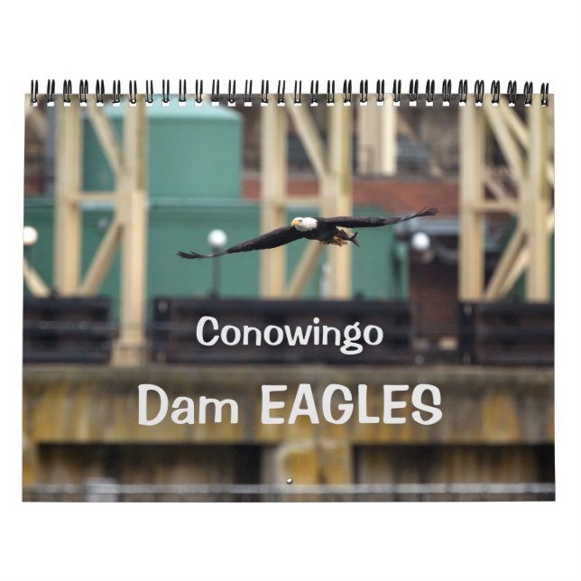 Calendário Dam Eagles (Capa)