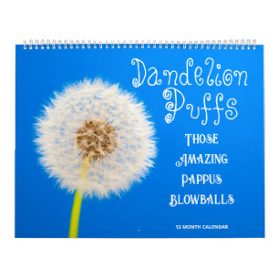 Calendário Dandelion Puffs: Aquelas Bolas De Pappus Incríveis