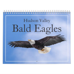 Calendário das Águias Baldas do Vale do Hudson