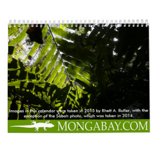 Calendário das árvores da floresta húmida