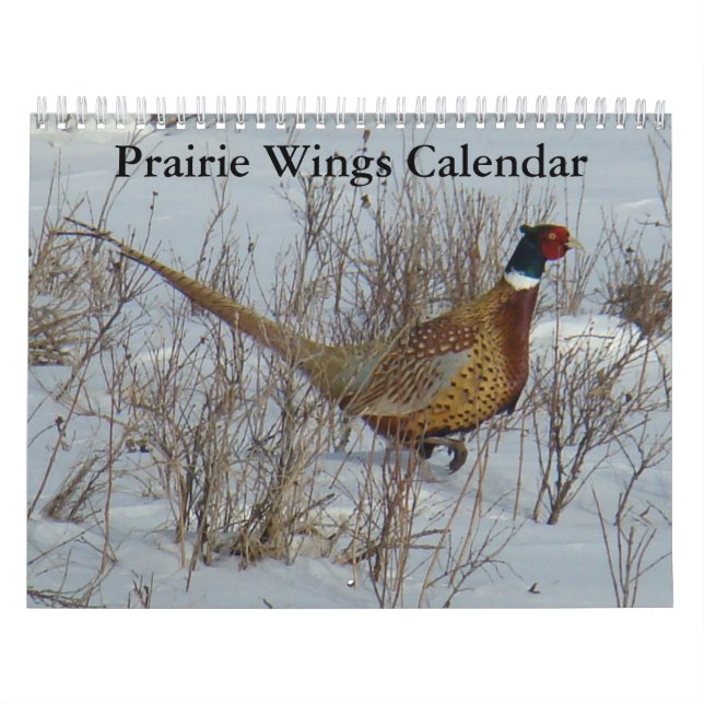 Calendário das Asas da Prairie C8 (Capa)