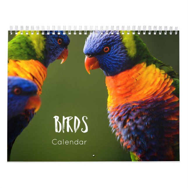 calendário das aves 2023 (Capa)