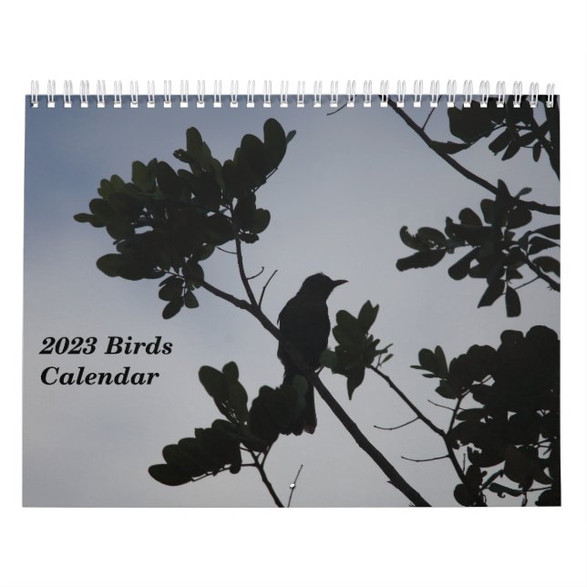 Calendário das Aves 2023 (Capa)