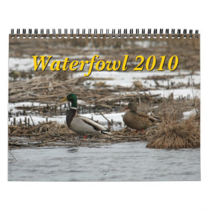 Calendário das aves aquáticas 2010