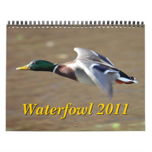 Calendário das aves aquáticas 2011