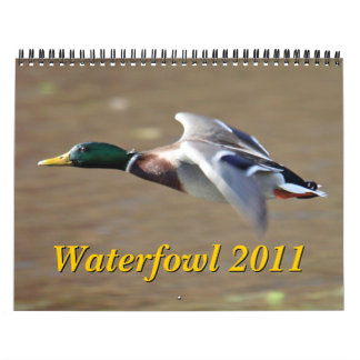 Calendário das aves aquáticas 2011