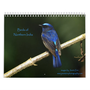 Calendário das Aves da Índia Norte