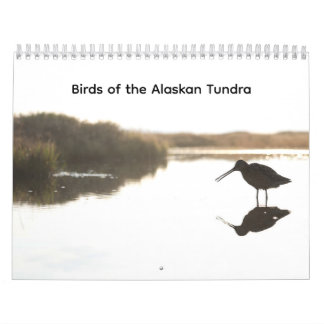 Calendário das Aves da Tundra do Alasca