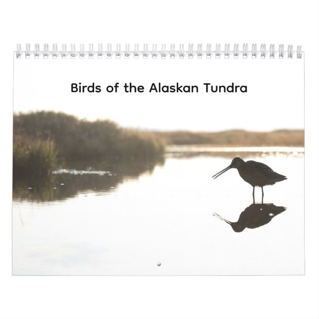 Calendário das Aves da Tundra do Alasca (Capa)