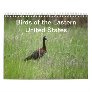 Calendário das aves do Leste dos Estados Unidos
