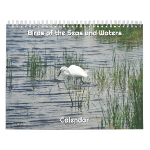 Calendário das Aves do Mar e das Águas