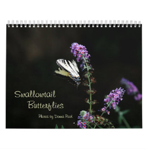 Calendário das borboletas de Swallowtail