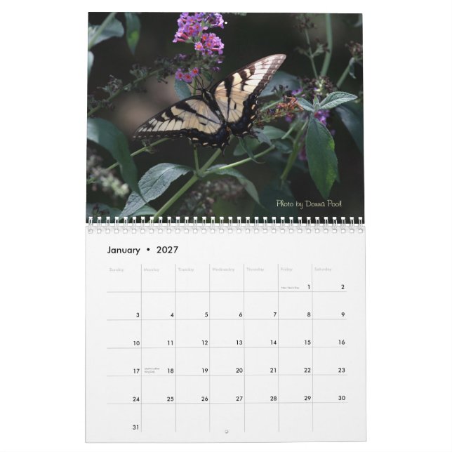 Calendário das borboletas de Swallowtail (Jan 2027)