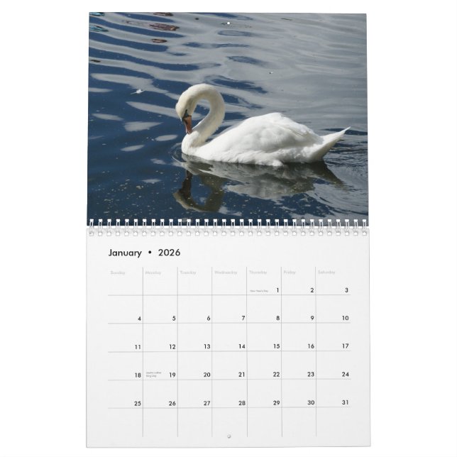Calendário das cisnes 2012 (Jan 2026)