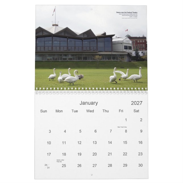 Calendário das cisnes de Stratford (Jan 2027)