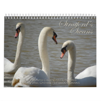 Calendário das cisnes de Stratford