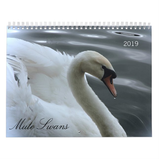 Calendário das cisnes e dos cygnets (Capa)