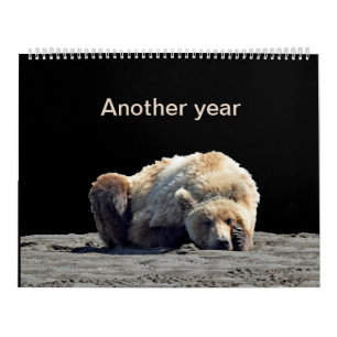 Calendário das crias de urso pardo