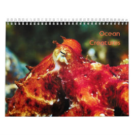 Calendário das Criaturas do Oceano