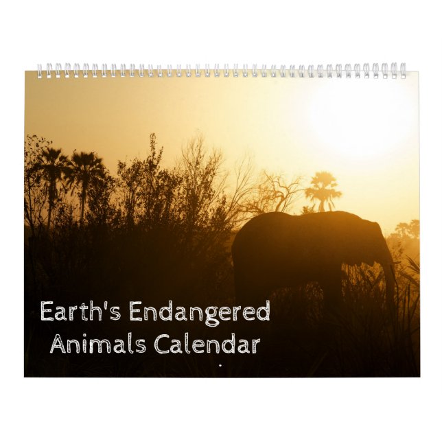 Calendário das Espécies Ameaçadas pela Terra (Capa)