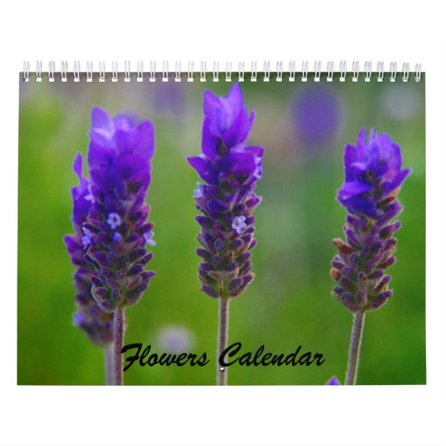 calendário das flores 2009 (Capa)