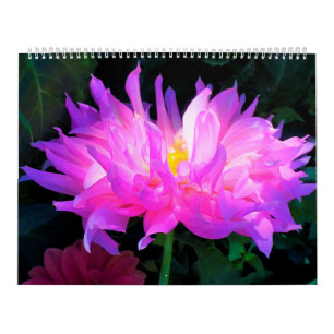 Calendário das Flores de Dahlia 2024