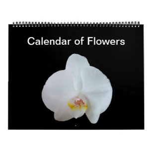 Calendário das Flores Sunny Daze