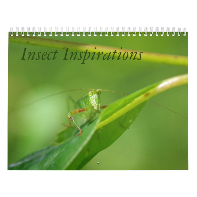 Calendário das inspirações do inseto (Capa)